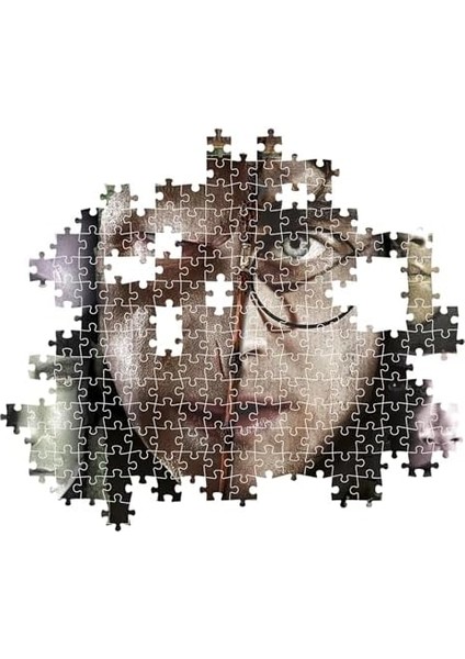 1000 El. Compact Potter modelleri