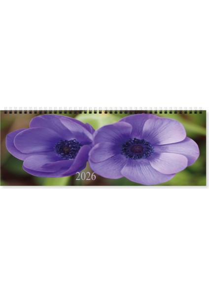 2026 Masa Takvimi 13*33