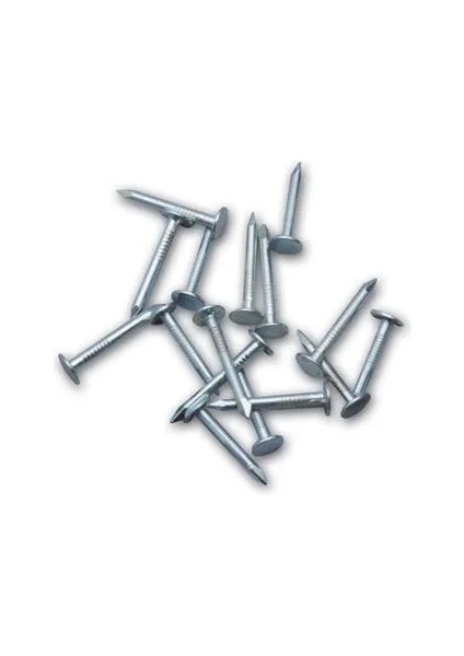 Buğz Şıngıl Çivisi 2,5 kg