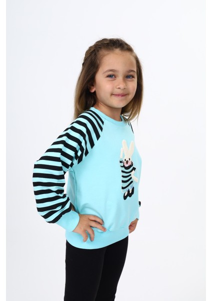 Kız Çocuk Nakışlı Sweatshirt fiyatları