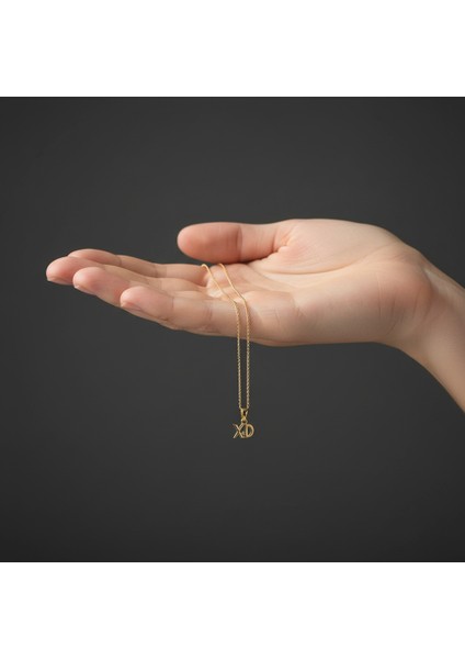 14 Ayar Altın Kolye Ucu D&x GM11119 1 gr fiyatları