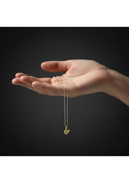 8 Ayar Altın Kolye Ucu D&p GM11022 1 gr fiyatları