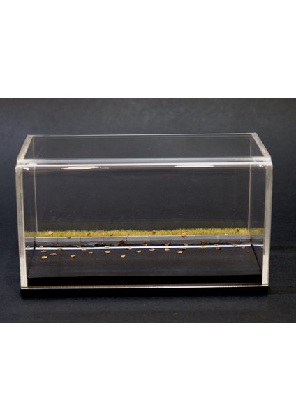 1/64 City Road Diorama Display Case (Sonbahar/autumn)