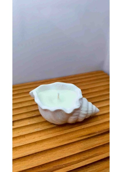 Deniz Kabuğu Şekilli Mum