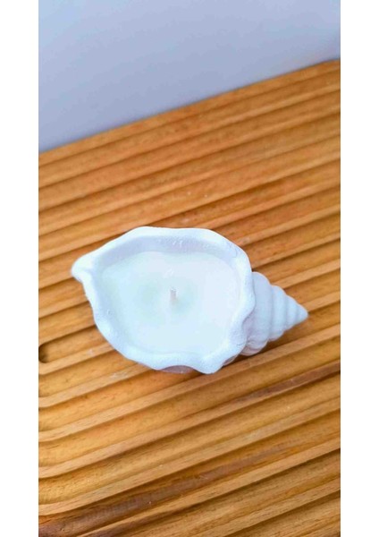 Deniz Kabuğu Şekilli Mum fiyatları