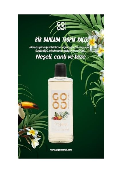 Gogo Tropikal Kolonya 250ML Cam Şişe