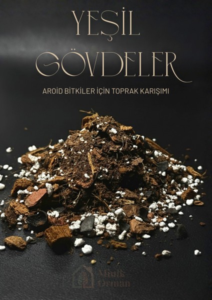 Yeşil Gövdeler - Aroid Bitkiler Için Özel Toprak Karışımı