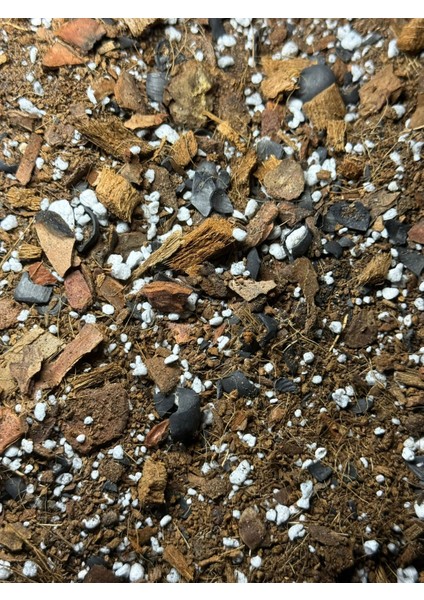 Yeşil Gövdeler - Aroid Bitkiler Için Özel Toprak Karışımı fiyatları