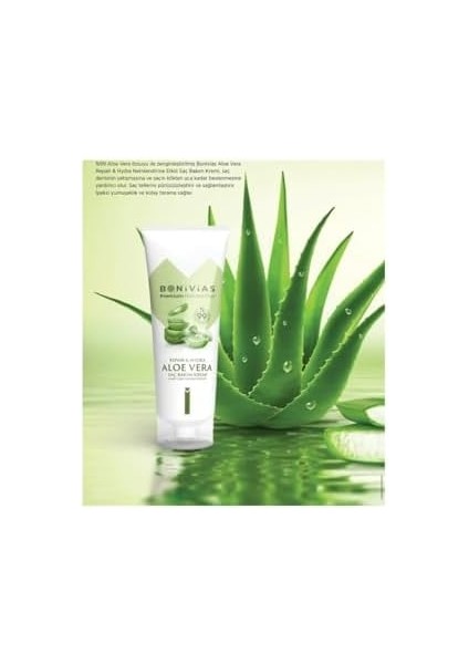Aloevera Nemlendirici Saç Bakım Kremi% 99 Aloevera & Jojoba Oil 250 ml fiyatları