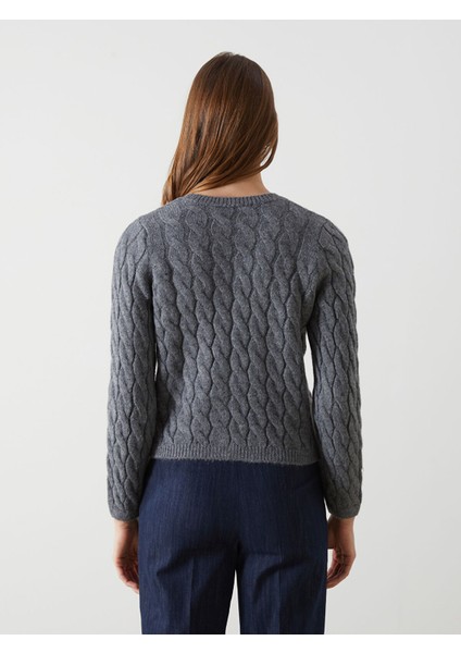 Yeni Sezon Bisiklet Yaka Kendinden Desenli Kadın Triko Hırka fırsatları