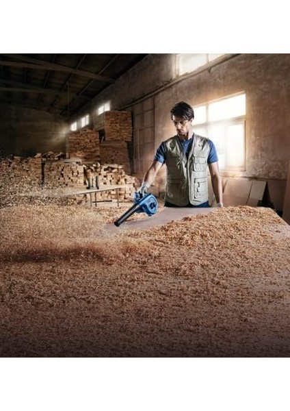 Professional Gbl 800E Ce Üfleyici (820 W, Hacimsel Debi: 4,5 M³/dak) fiyatları