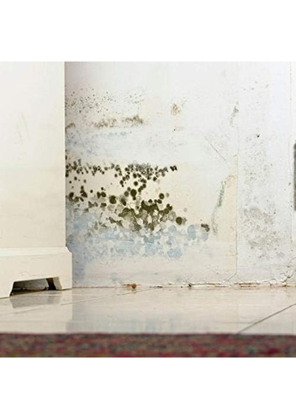 Miss Flora Nem Alıcı 200 G 3'lü Paket modelleri