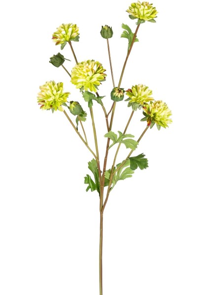 Krizantem Yeşil 77 Cm.