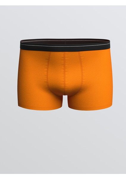 Yeni Sezon Standart Kalıp Pamuklu Esnek Erkek Boxer 3'lü modelleri