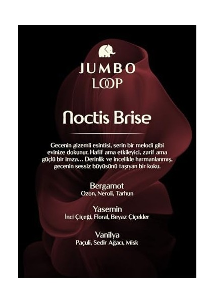 Jumbo Loop Noctis Brise Çubuklu Oda Kokusu, Mat Burgendy Şişe modelleri