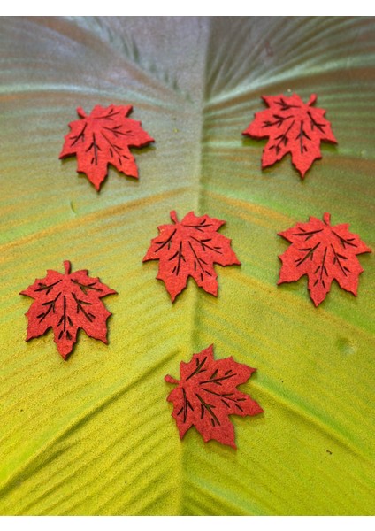 6 Adet Keçe Yaprak Arma Set 5x5 cm modelleri