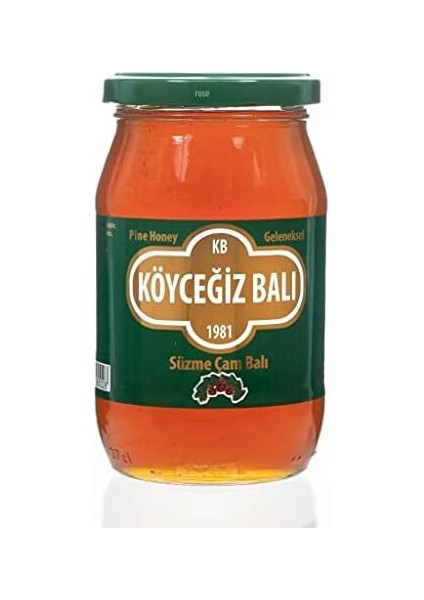 Köyceğiz Balı Çam Balı 450 G Cam Kavanoz fiyatları