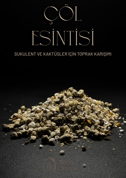 Çöl Esintisi - Sukulent ve Kaktüsler Için Özel Toprak Karışımı
