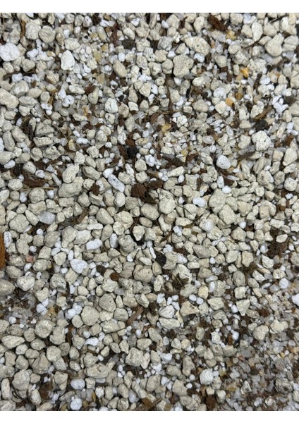 Çöl Esintisi - Sukulent ve Kaktüsler Için Özel Toprak Karışımı modelleri