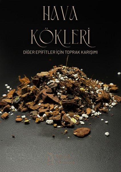 Hava Kökleri - Diğer Epifitler Için Özel Toprak Karışımı