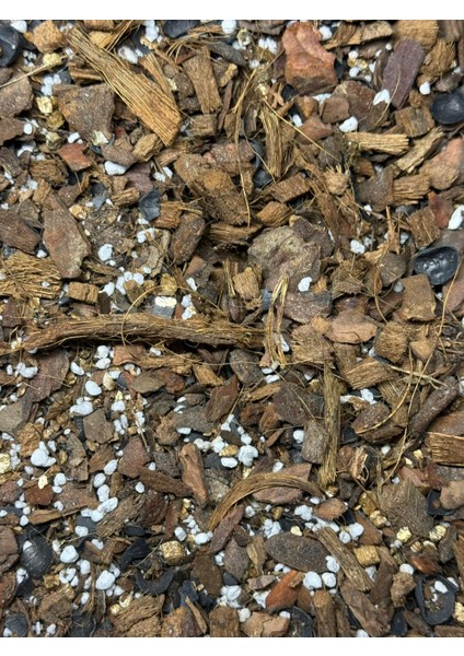 Hava Kökleri - Diğer Epifitler Için Özel Toprak Karışımı fiyatları