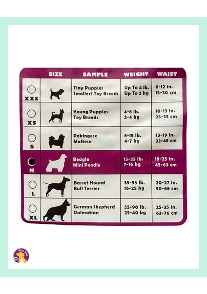 Ultra Emici Köpek Külot Çiş Pedi M Beden 12'li modelleri