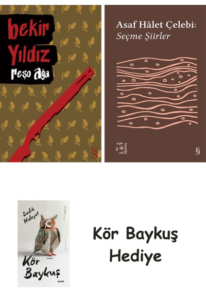 Reşo Ağa + Everest Açıkhava 35 - Seçme Şiirler + Kör Baykuş