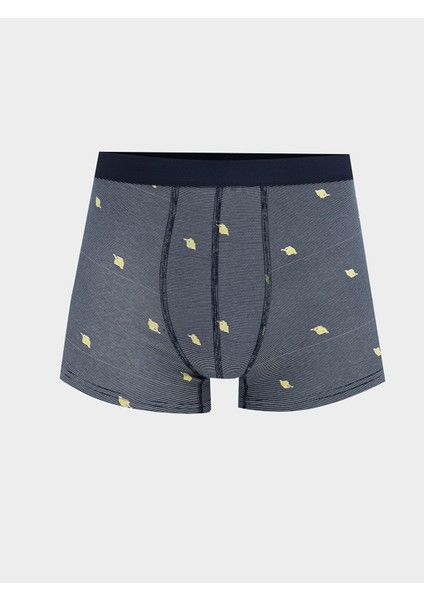 Yeni Sezon Standart Kalıp Baskılı Erkek Boxer 3'lü fiyatları