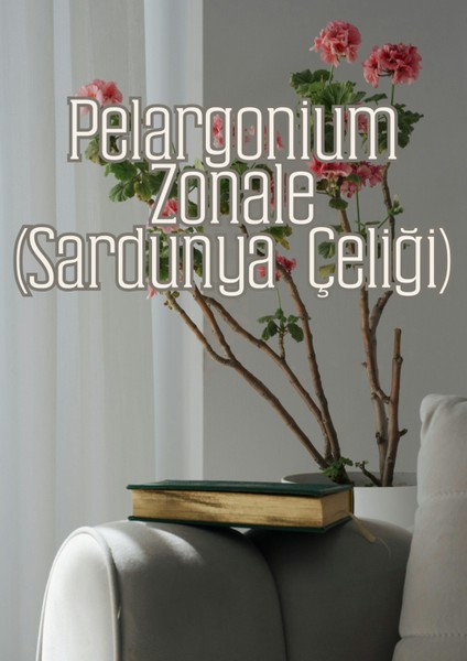 Kök Sihri - Çelik ve Fideler Için Özel Toprak Karışımı