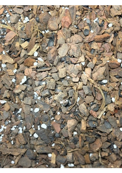 Orkide Işıltısı - Orkideler Için Özel Toprak Karışımı fiyatları