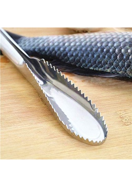 Pratik Balık Pulu Kazıyıcı Aparat fırsatları