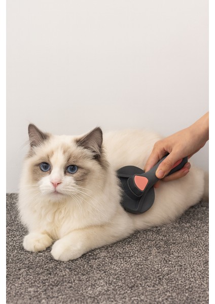 Tek Tuşla Tüy Temizliği! Kedi Köpekler Için Otomatik Tüy Toplama Tarağı