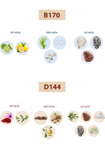 Bacera B170 Fresh Unisexs Parfüm 50ML Edp D144 Oriental Unisex Parfüm 50ML Edp fiyatları