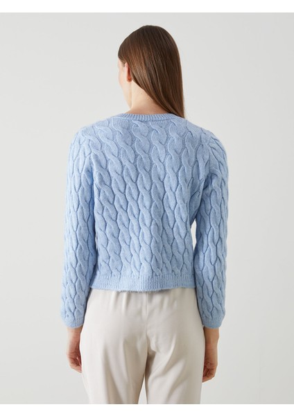 Yeni Sezon Bisiklet Yaka Kendinden Desenli Kadın Triko Hırka fırsatları