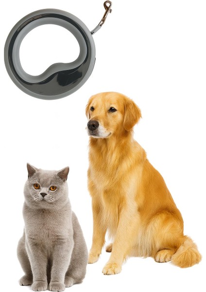 Şık ve Dayanıklı 2.5m Otomatik Köpek Gezdirme Tasması modelleri