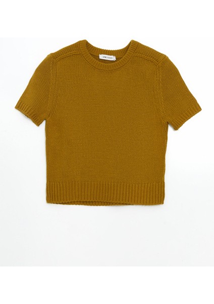 Yeni Sezon Bisiklet Yaka Kadın Triko Kazak indirimleri