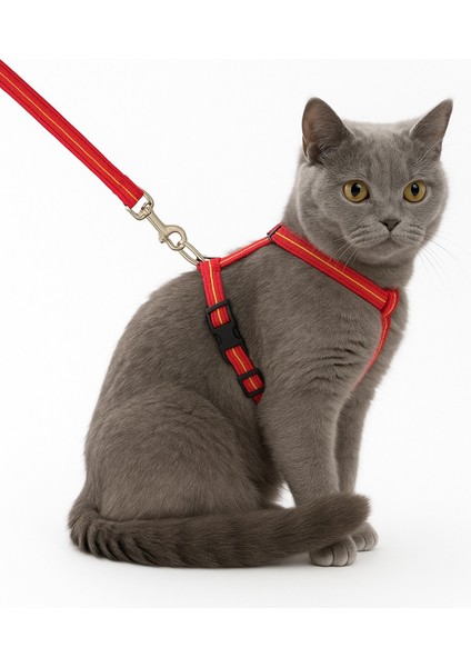 Kedi Tasması – Ayarlanabilir Dayanıklı Evcil Hayvan Tasması 1.20M