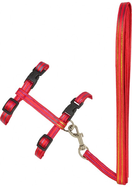 Kedi Tasması – Ayarlanabilir Dayanıklı Evcil Hayvan Tasması 1.20M fiyatları