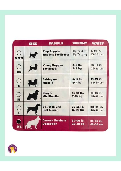 Diapers Ultra Emici Köpek Külot Çiş Pedi XL Beden 12'li fiyatları