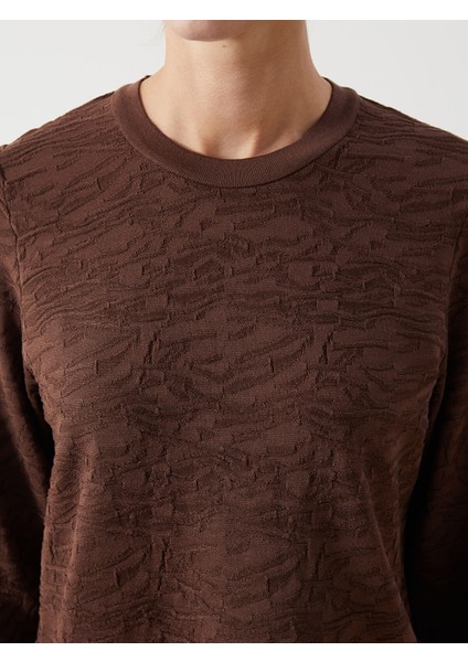 Yeni Sezon Bisiklet Yaka Desenli Kadın Triko Kazak modelleri