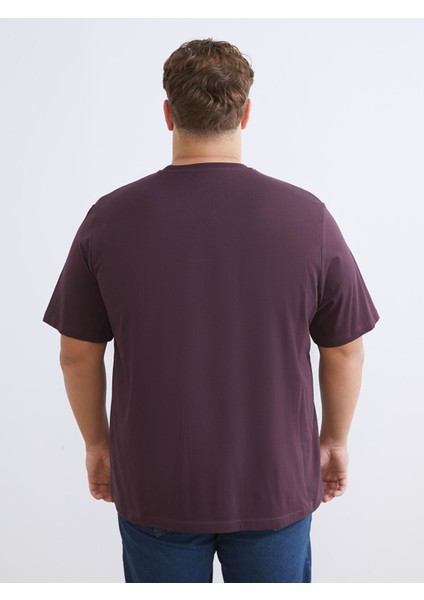 Yeni Sezon Büyük Beden Bisiklet Yaka Baskılı Penye Erkek Tişört fırsatları