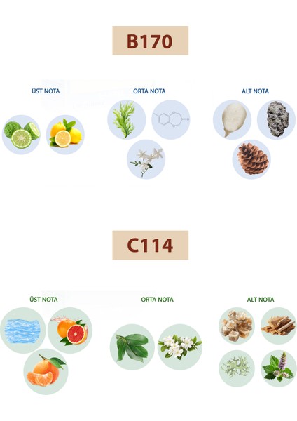 Bacera B170 Fresh Unisex Parfüm 50ML Edp C114 Fresh Erkek Parfüm 50ML Edp