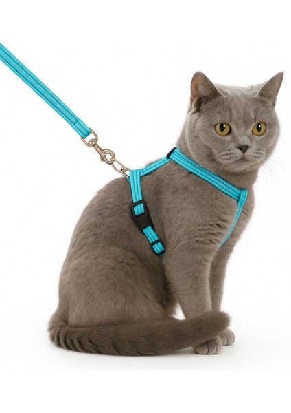 Kedi Tasması – Ayarlanabilir Dayanıklı Evcil Hayvan Tasması 1.20M