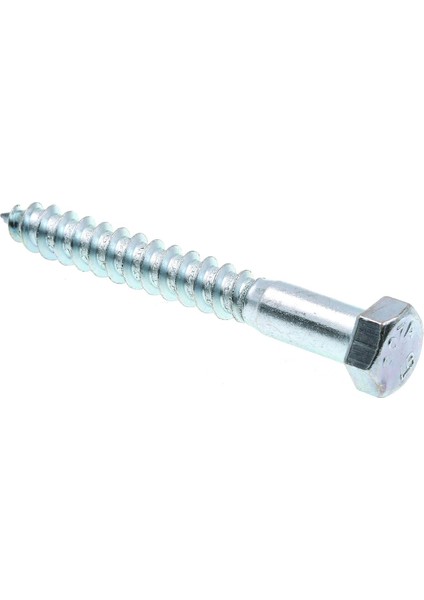 9056275 Lag Vida, Altıgen Kafa, 3/20,3 x 7,6 Cm, Çinko Gümüş Kaplama Paslanmaz Çelik, 25 Adet