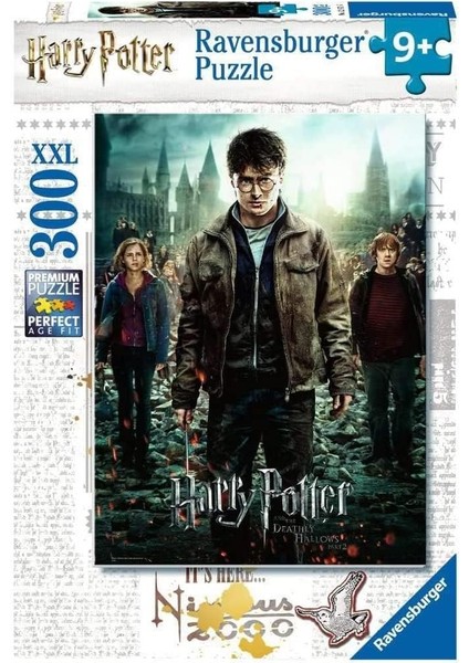 RPO128716 300 Parça Yapboz Harr Y Potter