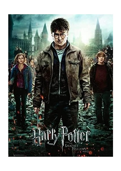 RPO128716 300 Parça Yapboz Harr Y Potter fiyatları