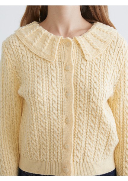 Yeni Sezon Bebe Yaka Kendinden Desenli Kadın Triko Hırka modelleri