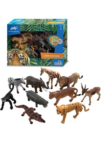SH-D58011 Vardem Kutulu 10 Parça Vahşı Hayvan Seti