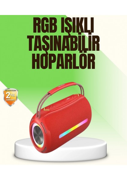 Rgb LED Işıklı 20W Taşınabilir Bluetooth Hoparlör Ipx6 Suya Dayanıklı