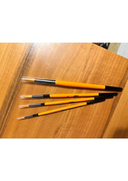 4 Lü Yuvarlak Fırca Seti No:2,5,8,12 modelleri